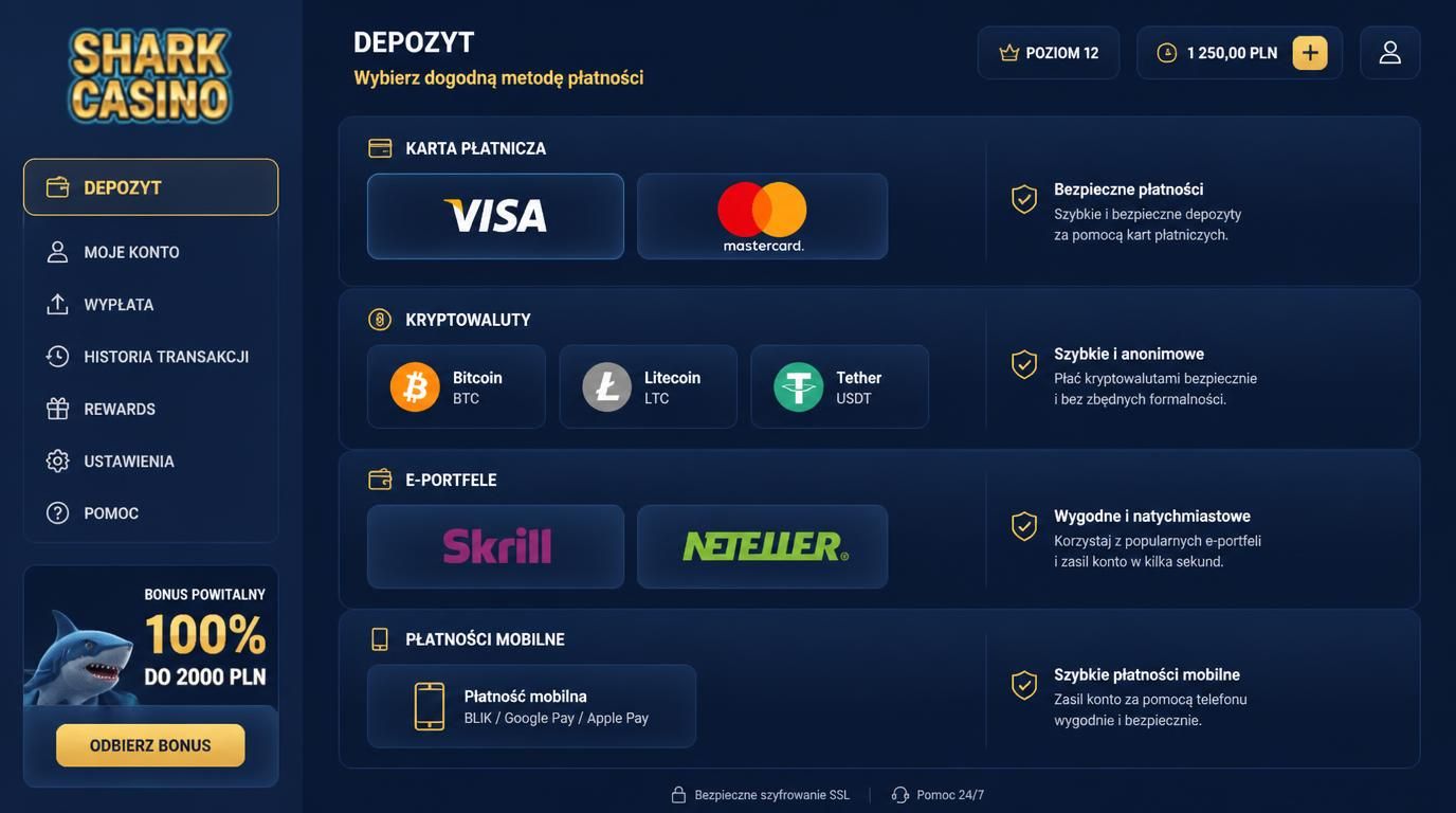 interfejs kasyna z ikonami różnych metod płatności